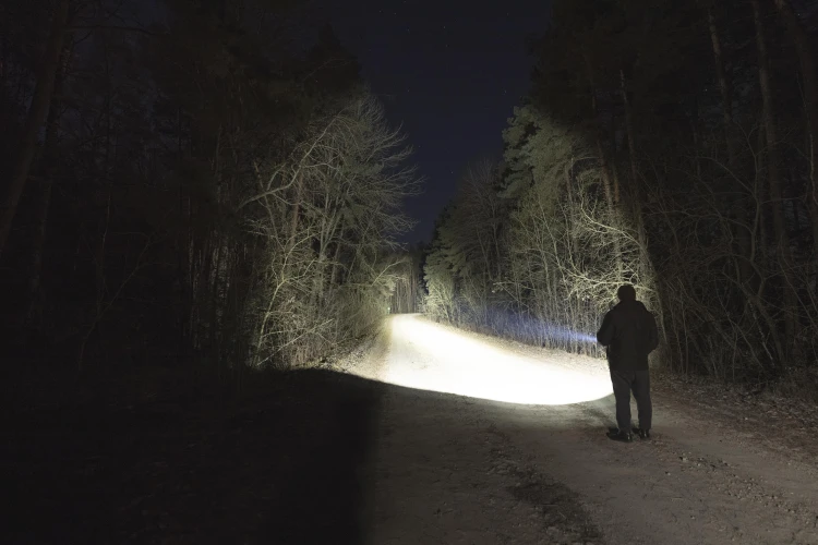 Dobermann_Pro_Max_beam_shot_04.jpg