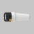 Bear_WRG_05_G_BG.png