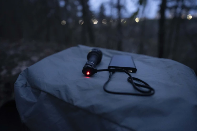 Bear_WRG_charger_05.jpg