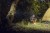 Elf_C2_Max_lamp_mode_05.jpg