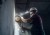 Wizard_C2_Pro_builder_105.jpg