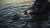 Wizard_C2_Pro_diver_24.jpg