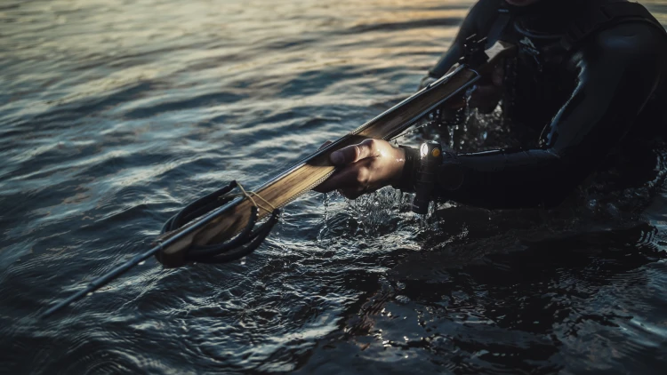 Wizard_C2_Pro_diver_24.jpg