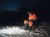 Wizard_C2_Pro_Fishing__-180222_iery-zm.jpg