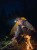 Wizard-C2-Pro-Max-camping-1_j5x3-az.jpg